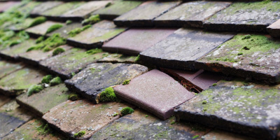 Birchgrove roof repair costs